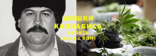 mix Надым