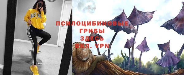 эйфоретик Нефтегорск