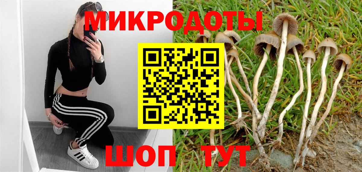 Псилоцибиновые грибы Magic Shrooms  Вход с VPN  Псилоцибиновые грибы прущие грибы  Ржев 