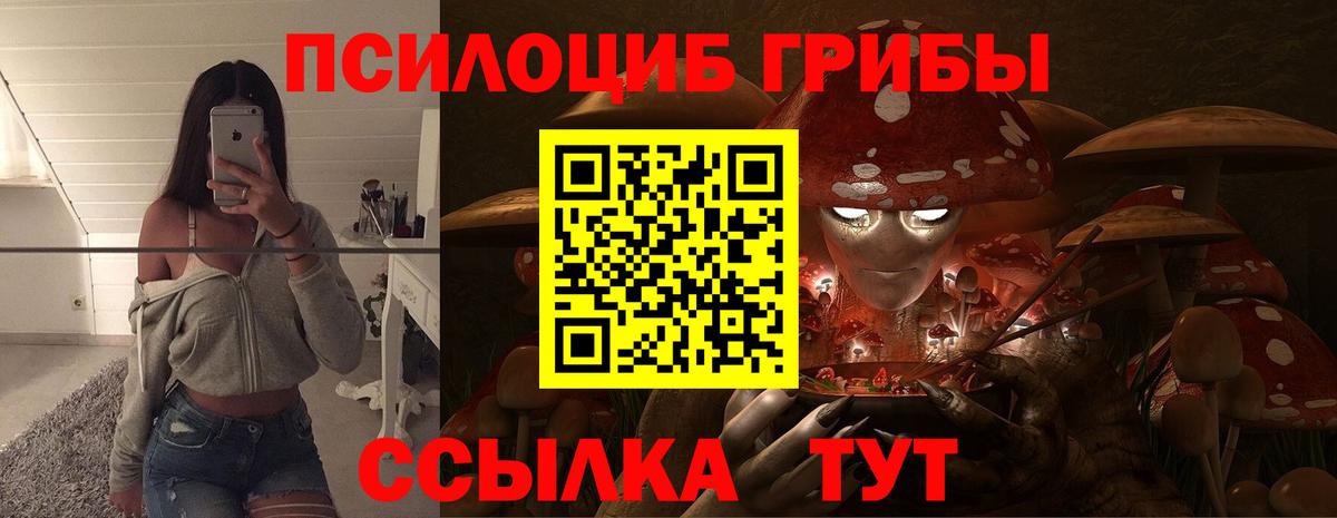 Псилоцибиновые грибы прущие грибы Ржев