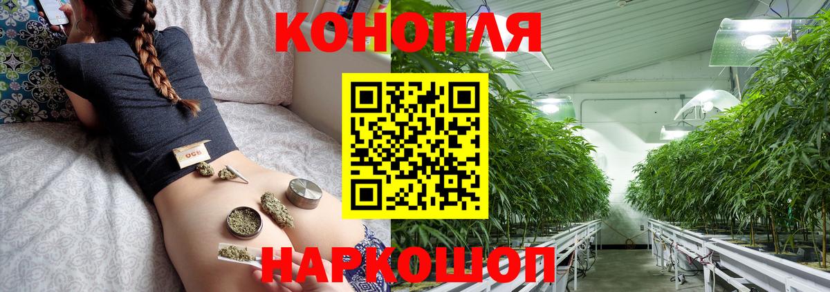 Каннабис MAZAR Ржев